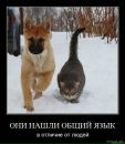 Дмитро Зінченко фотография #47 (источник - https://vk.com/id30211933)
