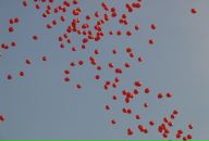 Фотография Воиновой Виктории