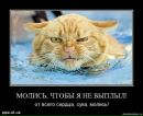 Іван Тисліцький фотография #6 (источник - https://vk.com/id136715921)