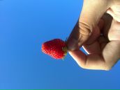 Фотография Черняева Димасика