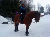 Фотография  