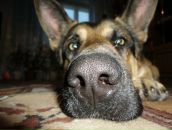 Фотография Попова Дениса