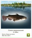 Ваня Бортнік фотография #37 (источник - https://vk.com/id146191425)