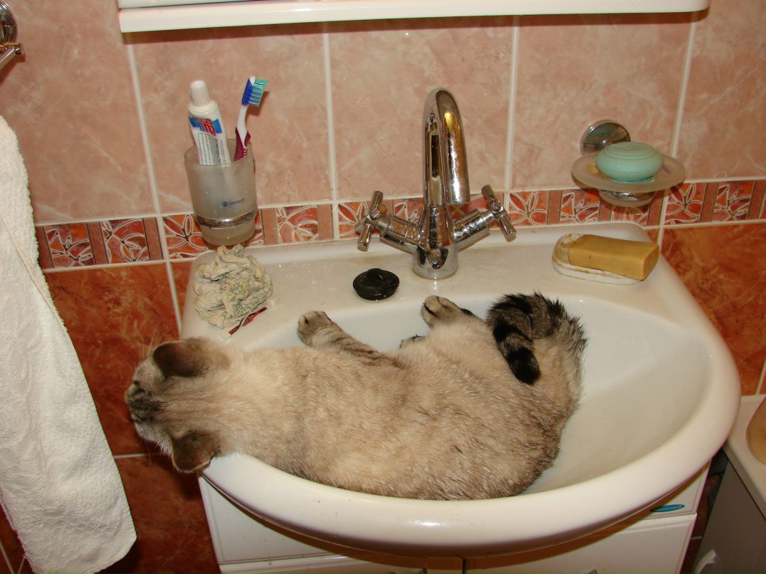 Игорь Огородников фотография #16