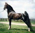 Фотография Якушкина Макса