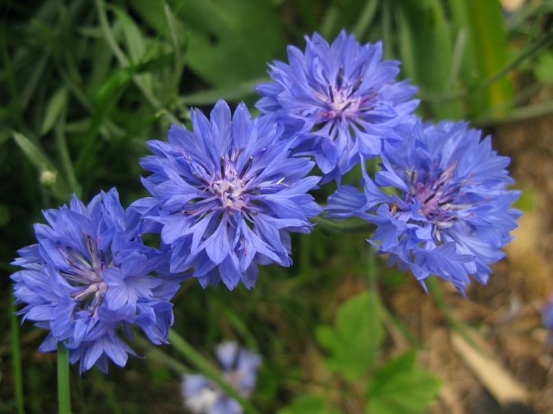 Катерина Старченко фотография #25