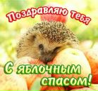 Володимир Шалівський фотография #30 (источник - https://vk.com/id38528279)