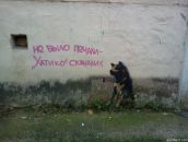 Антон Васильев фотография #46 (источник - https://vk.com/id2006357)