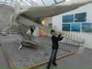 Фотография Кирилл Мухаметшин