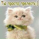 Юля Марків фотография #42 (источник - https://vk.com/id132234243)
