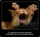 Фотография Смирновой Марии