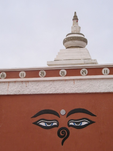 Davaa Davaa фотография #43