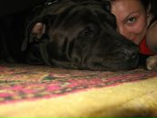 Юлія Вінник фотография #34 (источник - https://vk.com/id12962865)