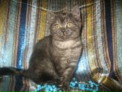 Фотография Николаевой Наташи