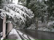 Фотография Золотарева Алексея