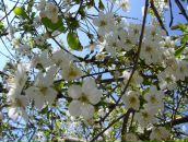 Фотография Пинк Дмитрий