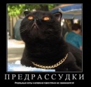 Фотография Савельева Дмитрия