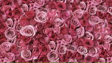 Марта Яцків фотография #37 (источник - https://vk.com/id16337656)