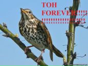 Фотография Голубевой Анжелики