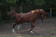 Лидулька Зинченко (галлямова) фотография #24 (источник - https://vk.com/id71470483)