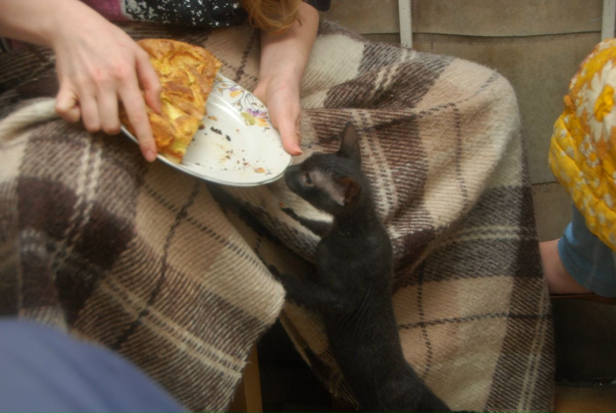 Даниил Стариченко фотография #30