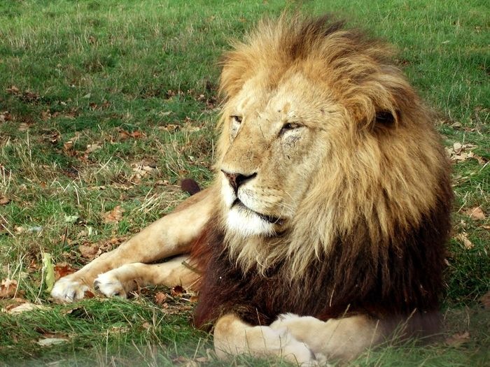 Карина Иванова фотография #32