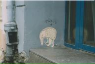 Оля Топунова фотография #44 (источник - https://vk.com/id1663452)