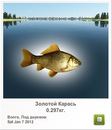 Катя Семенів фотография #3 (источник - https://vk.com/id150644712)