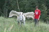 Фотография Sarbaev Ilnur