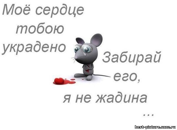 №6, Баярма Раднаева №6, Баярма Раднаева