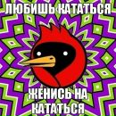 Фотография Донского Дмитрия