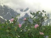 Фотография Кишуевой Ирины