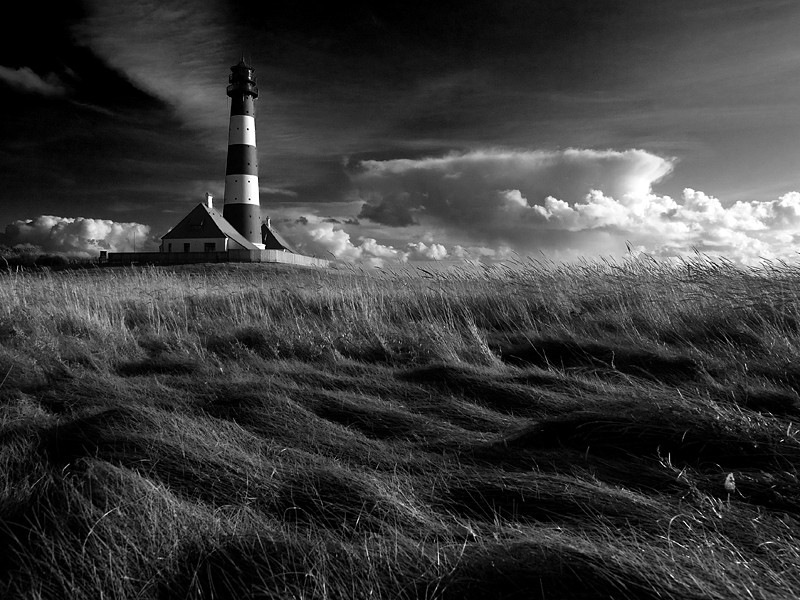 White Noise фотография #15