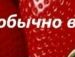 Василина Лоїк фотография #17 (источник - https://vk.com/id63655513)