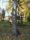 Юлія Лобань фотография #37 (источник - https://vk.com/id58361804)