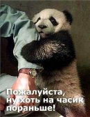 Knight Honour фотография #23 (источник - https://vk.com/id655167)