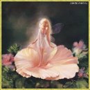 Дарья Κиселева фотография #46 (источник - https://vk.com/id5516112)