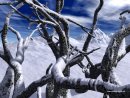 Ліля Підгайна фотография #9 (источник - https://vk.com/id49382774)