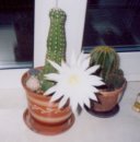 Даша Иванова фотография #15 (источник - https://vk.com/id838650)