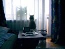 Берта Berta фотография #3 (источник - https://vk.com/id22662314)
