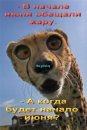 Юра Валігура фотография #44 (источник - https://vk.com/id135048258)