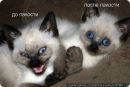 Машулька :) фотография #4 (источник - https://vk.com/id152146904)