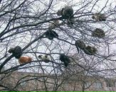 Андрій Каплевський фотография #19 (источник - https://vk.com/id15909982)
