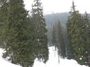 Лігерко Дмитро фотография #30 (источник - https://vk.com/id134888528)