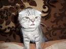 Шевчук Сергій фотография #26 (источник - https://vk.com/id20495548)