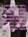 Олег Спіней фотография #47 (источник - https://vk.com/id133682469)