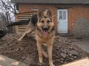 Ігор Ревізюк фотография #13 (источник - https://vk.com/id132862736)
