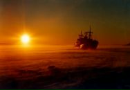 Дима Christmas фотография #30 (источник - https://vk.com/id3422265)