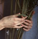 Фотография Пашиной Валерии