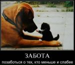 Юра Гарнік фотография #34 (источник - https://vk.com/id61585302)